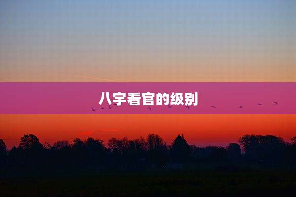八字看官的级别
