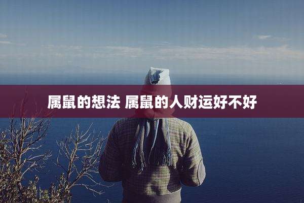 属鼠的想法 属鼠的人财运好不好