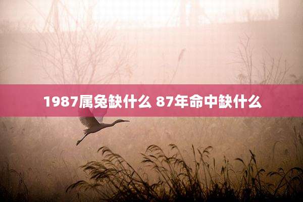 1987属兔缺什么 87年命中缺什么