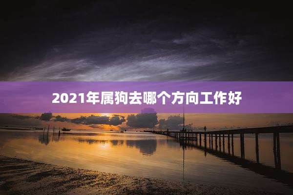 2021年属狗去哪个方向工作好