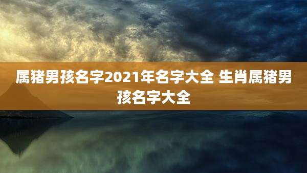 属猪男孩名字2021年名字大全 生肖属猪男孩名字大全