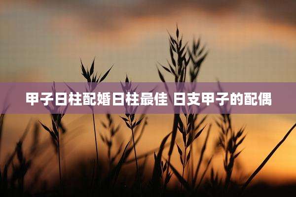 甲子日柱配婚日柱最佳 日支甲子的配偶