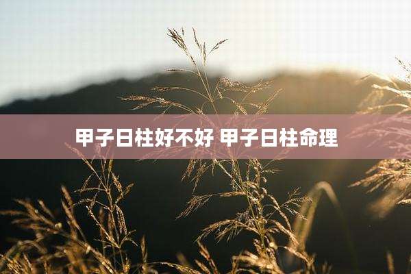 甲子日柱好不好 甲子日柱命理