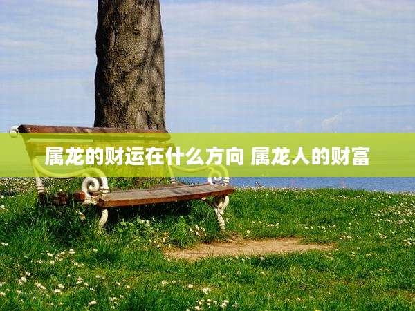 属龙的财运在什么方向 属龙人的财富