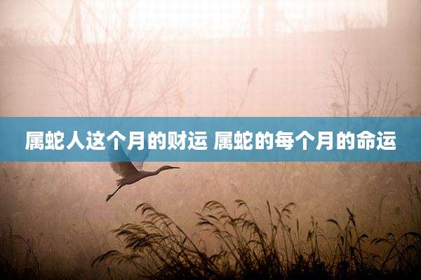 属蛇人这个月的财运 属蛇的每个月的命运