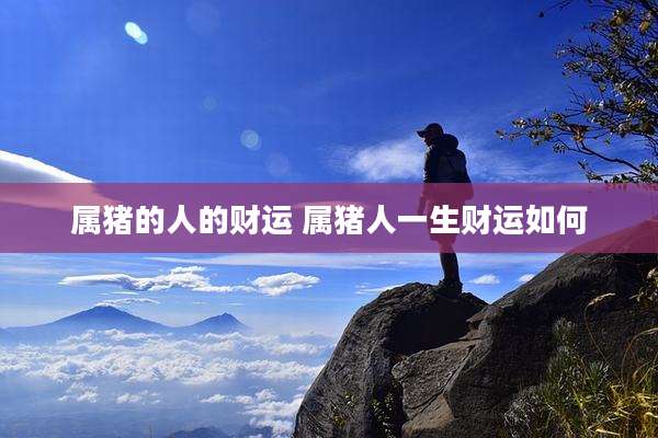 属猪的人的财运 属猪人一生财运如何