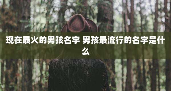 现在最火的男孩名字 男孩最流行的名字是什么