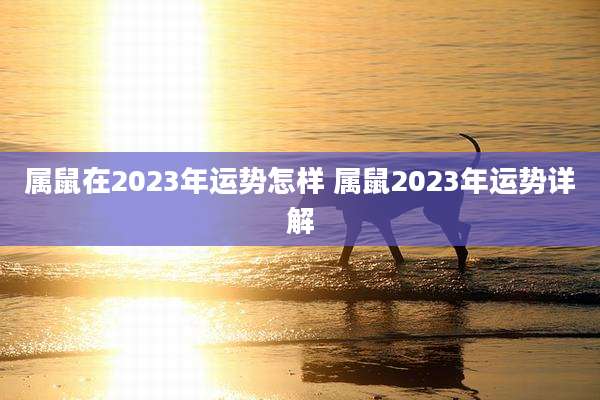 属鼠在2023年运势怎样 属鼠2023年运势详解