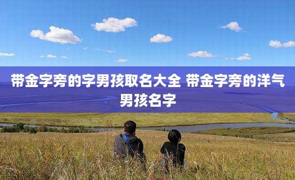 带金字旁的字男孩取名大全 带金字旁的洋气男孩名字