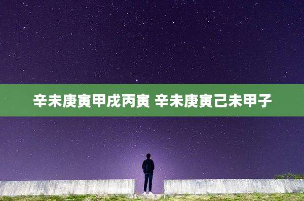 辛未庚寅甲戌丙寅 辛未庚寅己未甲子