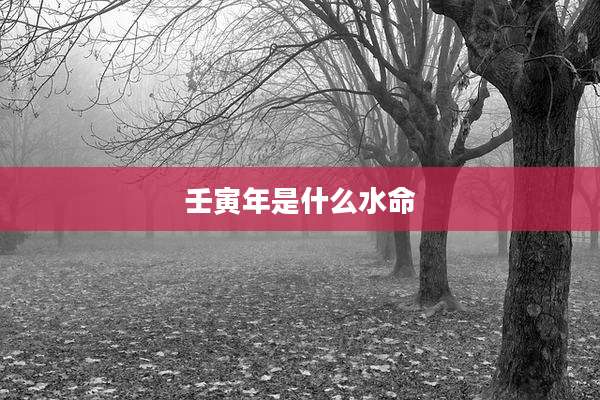 壬寅年是什么水命