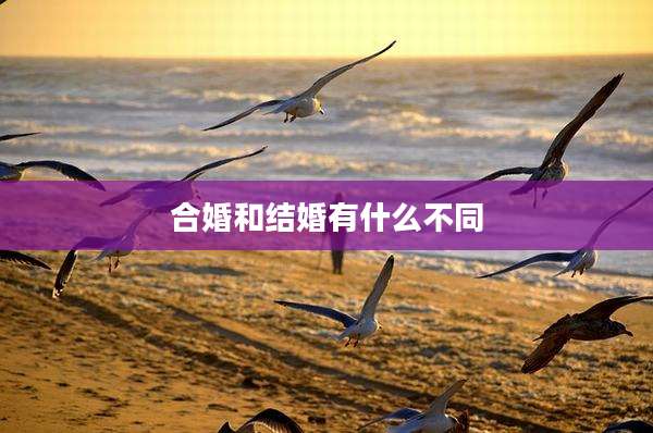 合婚和结婚有什么不同