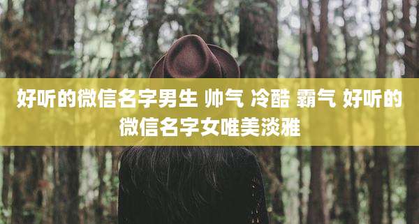 好听的微信名字男生 帅气 冷酷 霸气 好听的微信名字女唯美淡雅