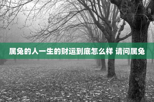 属兔的人一生的财运到底怎么样 请问属兔