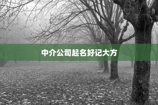 中介公司起名好记大方