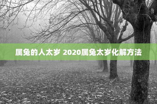 属兔的人太岁 2020属兔太岁化解方法