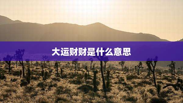 大运财财是什么意思