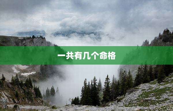 一共有几个命格