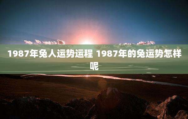 1987年兔人运势运程 1987年的兔运势怎样呢