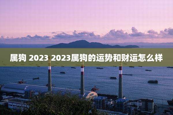 属狗 2023 2023属狗的运势和财运怎么样