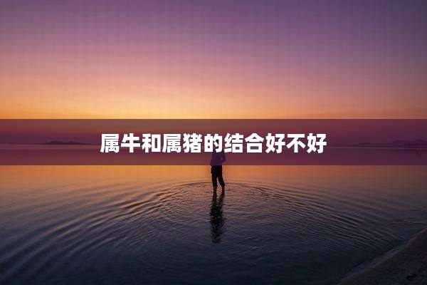 属牛和属猪的结合好不好