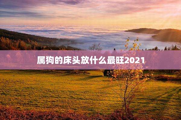 属狗的床头放什么最旺2021