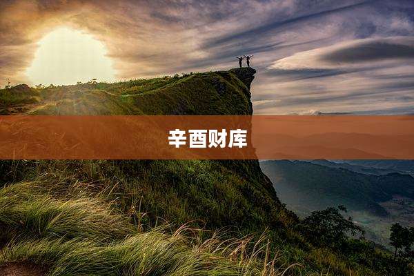 辛酉财库