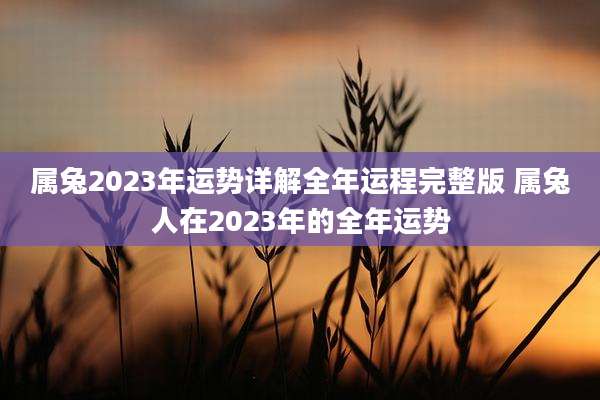 属兔2023年运势详解全年运程完整版 属兔人在2023年的全年运势