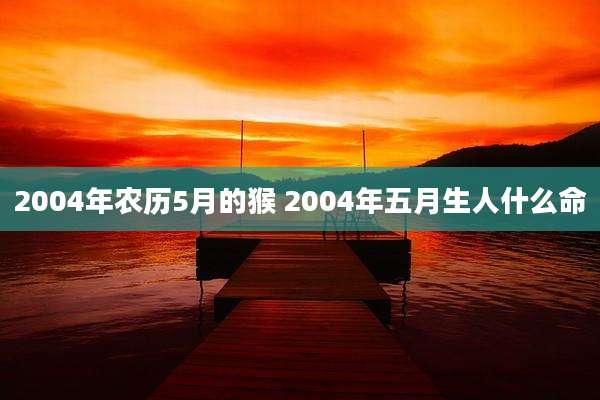2004年农历5月的猴 2004年五月生人什么命