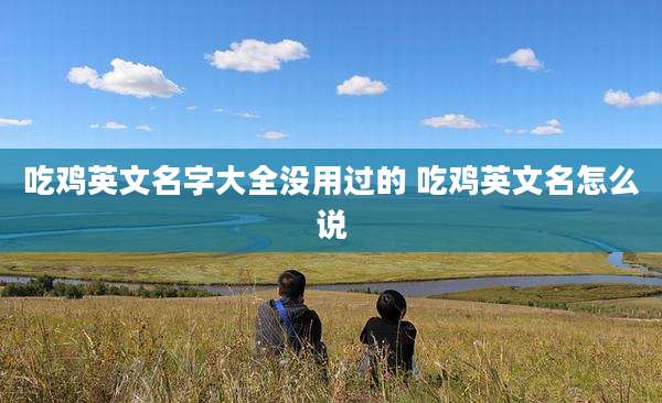 吃鸡英文名字大全没用过的 吃鸡英文名怎么说