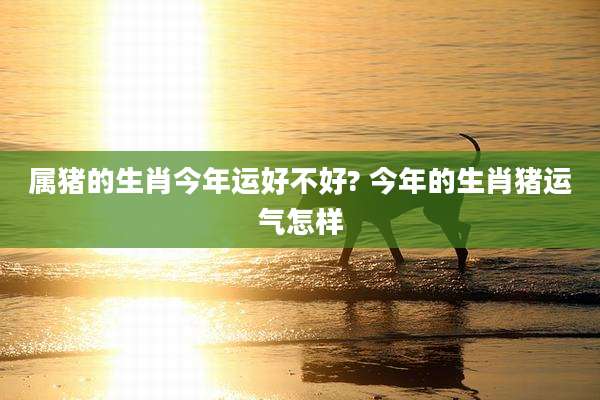 属猪的生肖今年运好不好? 今年的生肖猪运气怎样