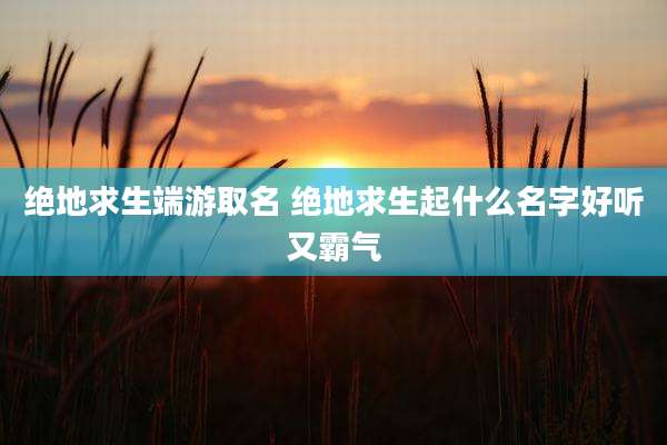 绝地求生端游取名 绝地求生起什么名字好听又霸气