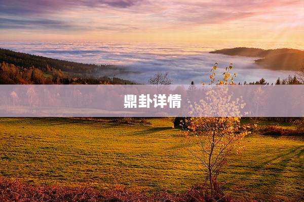 鼎卦详情