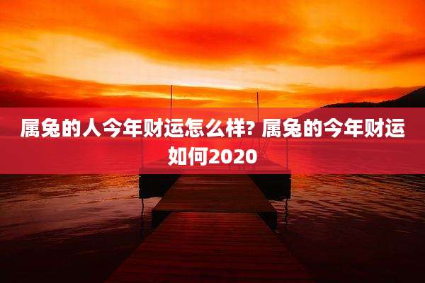 属兔的人今年财运怎么样? 属兔的今年财运如何2020