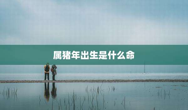 属猪年出生是什么命