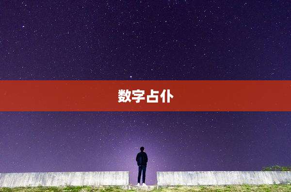 数字占仆