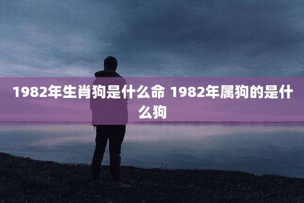 1982年生肖狗是什么命 1982年属狗的是什么狗