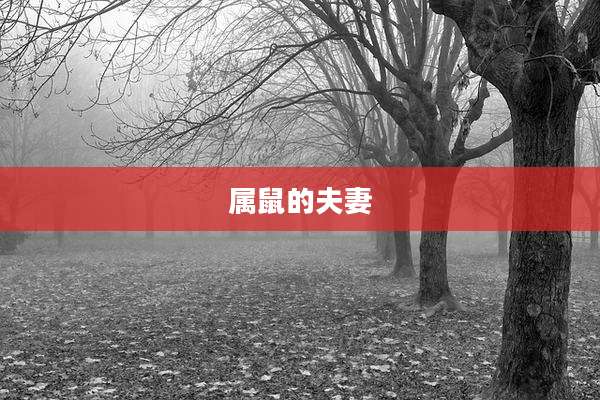 属鼠的夫妻