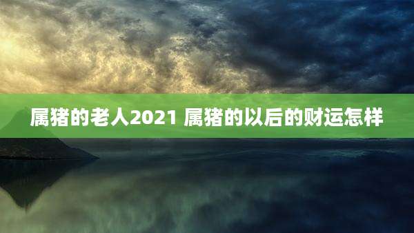 属猪的老人2021 属猪的以后的财运怎样