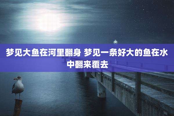 梦见大鱼在河里翻身 梦见一条好大的鱼在水中翻来覆去