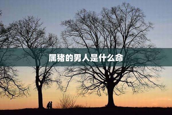 属猪的男人是什么命