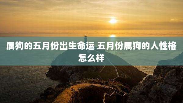 属狗的五月份出生命运 五月份属狗的人性格怎么样