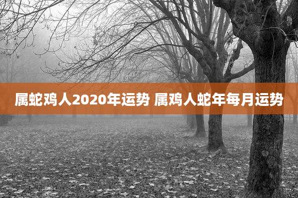 属蛇鸡人2020年运势 属鸡人蛇年每月运势
