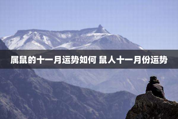 属鼠的十一月运势如何 鼠人十一月份运势