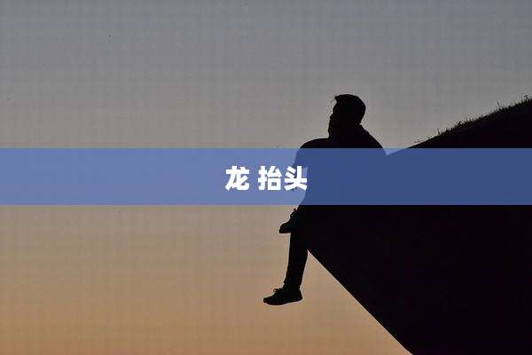 龙 抬头