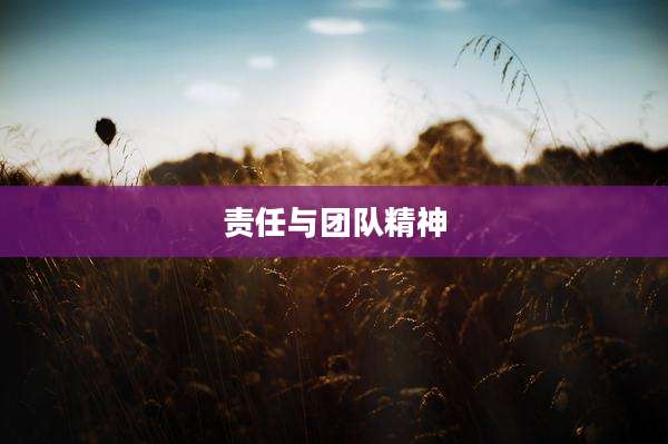 责任与团队精神