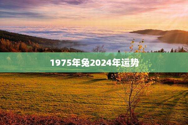 1975年兔2024年运势