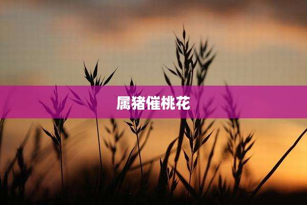 属猪催桃花