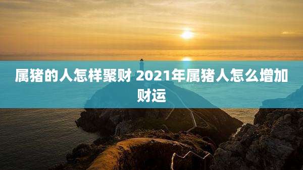 属猪的人怎样聚财 2021年属猪人怎么增加财运