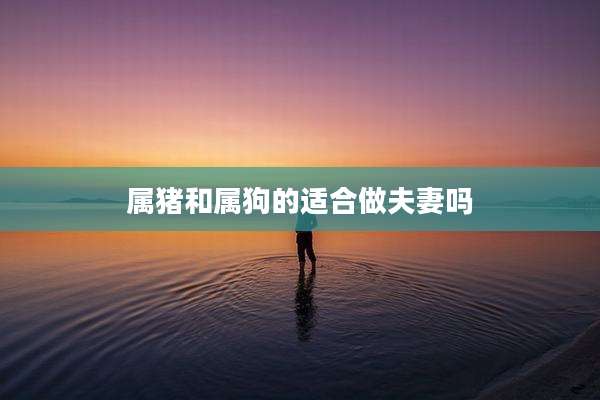 属猪和属狗的适合做夫妻吗
